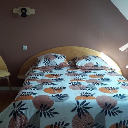 بلوغيرنياو Chambre D'Hotes De La Voie Bleue. المظهر الخارجي الصورة